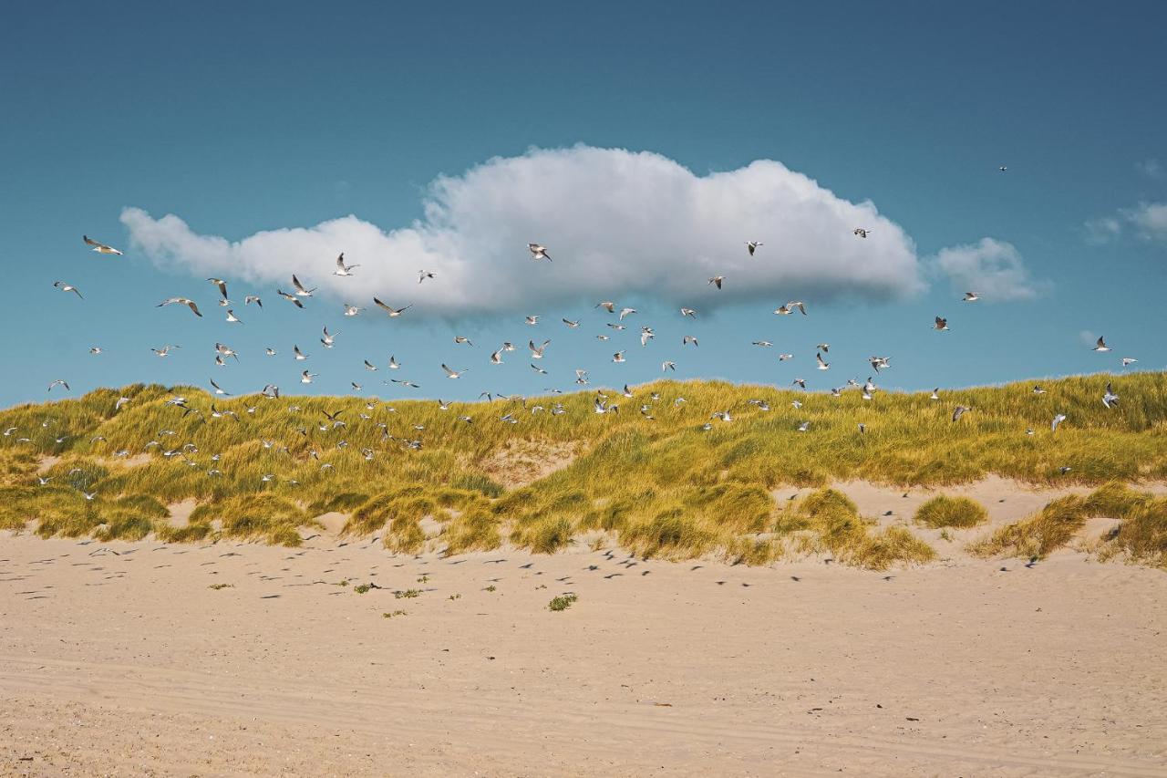 Appartement Duinzee Texel De Koog  Exteriér fotografie
