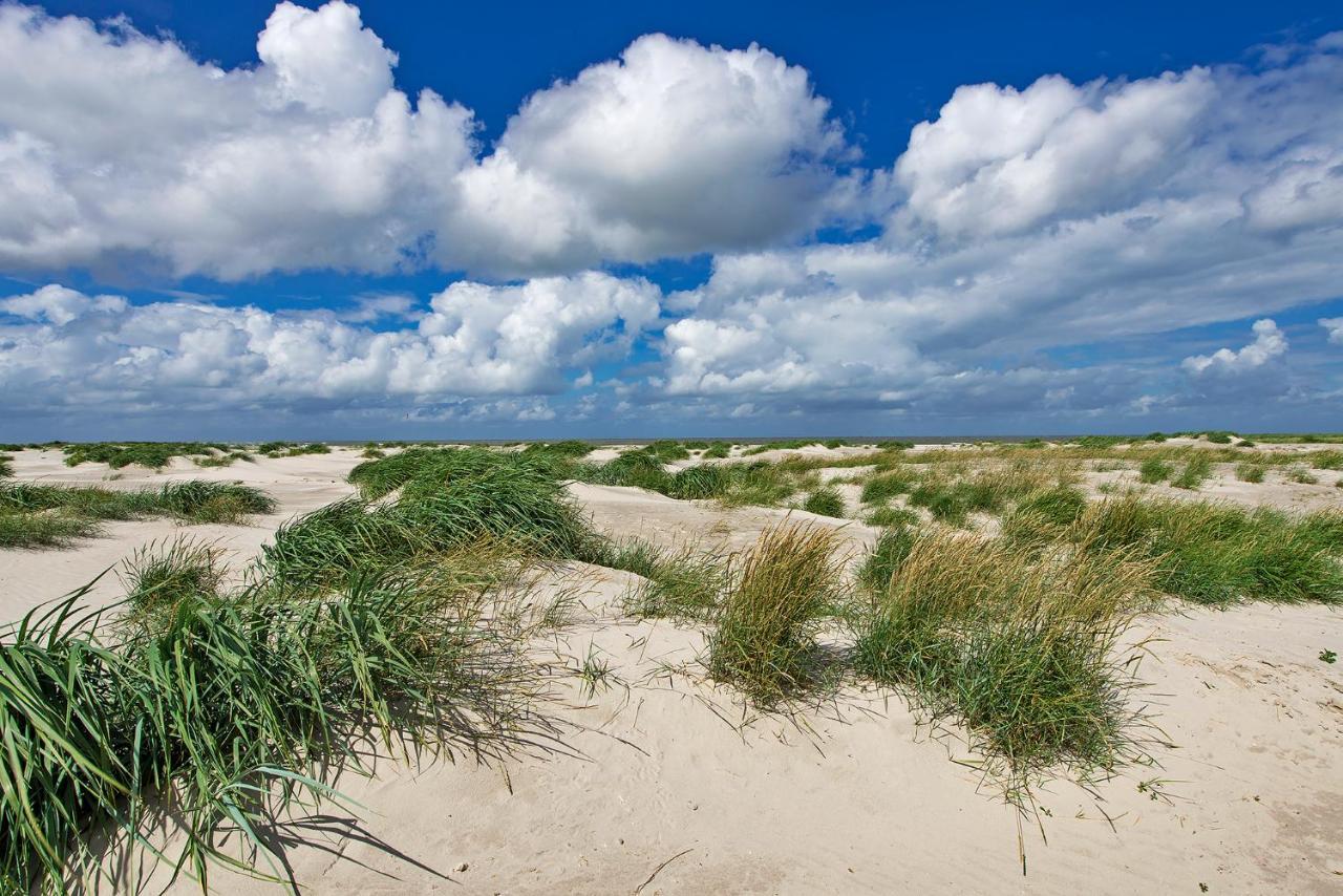 Appartement Duinzee Texel De Koog  Exteriér fotografie