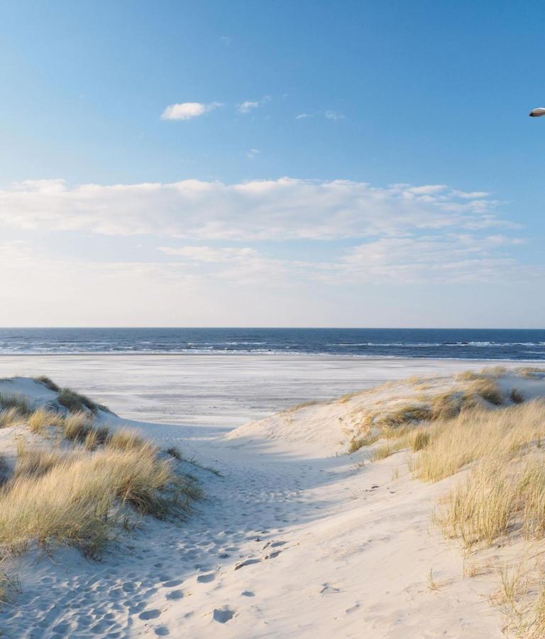 Appartement Duinzee Texel De Koog  Exteriér fotografie